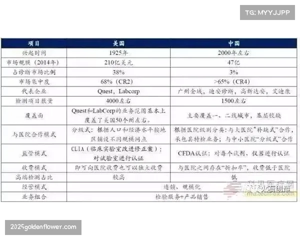 深度报道：财务公平法案审查趋严，意甲中游球队如何通过技术出租平衡账目