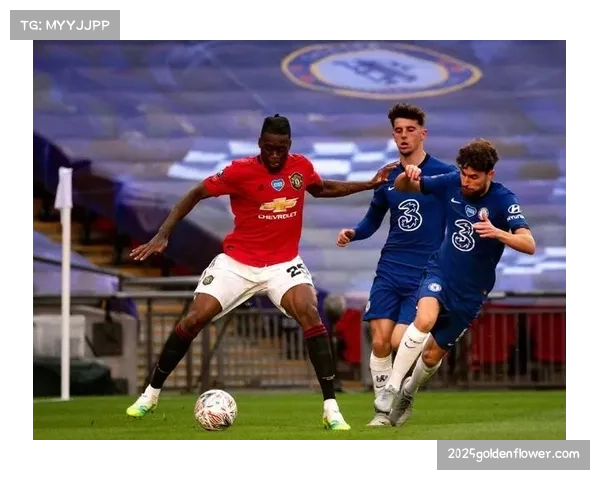 英超“足球伙伴”计划走进伦敦社区，百名青少年参与免费培训